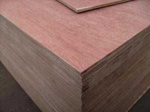Gỗ Dán chịu nước mặt dầu