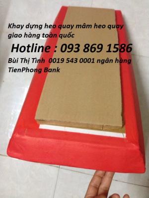 Xưởng sản xuất Mâm heo quay , Hộp đựng heo quay