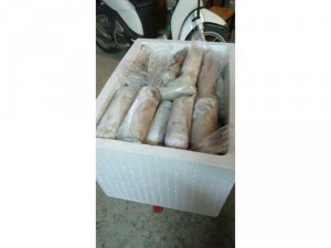 Mực lá, mực ống cấp đông