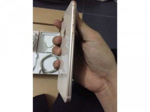 Iphone 8 Plus Gold 64Gb leng keng