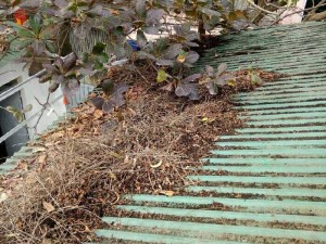 Em nhận dọn vệ sinh mái tôn sửa máng