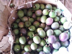 Chanh dây loại 1 chợ