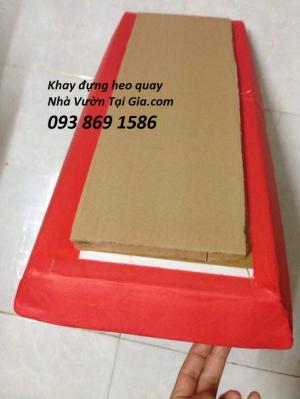 Giá bán khay giấy.mâm giấy đựng heo quay