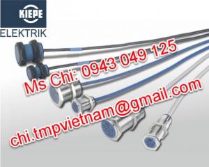 Cảm biến tiệm cận DG (Chuyển đổi tín hiệu xung) Kiepe