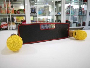 Loa Karaoke Không Dây ZBX-88 Kèm 2 Mic