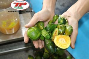Máy ép chanh, tắc và cam - Hoạt động bằng máy nén khi