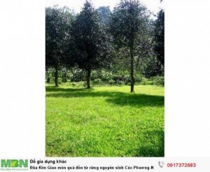 Đũa Kim Giao món quà đến từ rừng nguyên sinh Cúc Phương-Ninh Bình