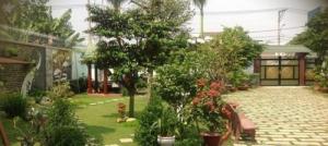Cần tiền làm đám cưới cho con, cần bán biệt thự vườn 1250m2 Nguyễn Thị Rành , Củ Chi.