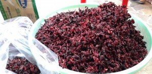 1 kg Hibiscus tea Bình thuận