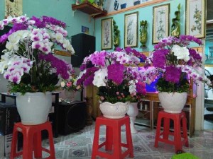 Bán hoa vải. Hoa cao su dẻo