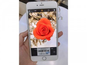 Cần bán iphone 6splus-128-Silver máy trưng bày
