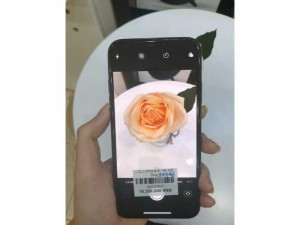 Cần iphone X-64-Gray máy trưng bày hàng chính hãng Việt Nam!