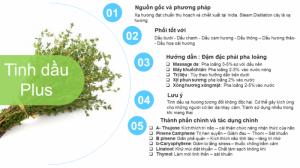 Tinh dầu xạ hương plus 20ml - Thyme EO nguyên chất thiên nhiên Ấn Độ - Trị mụn, Sạch miệng