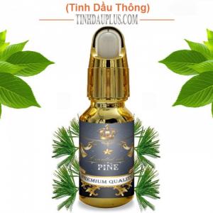 Tinh dầu thông plus 20ml – Pine EO nguyên chất thiên nhiên Ấn Độ – Thiền định, tập trung