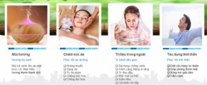 Tinh dầu trà xanh plus 20ml – Green Tea EO nguyên chất thiên nhiên Ấn Độ – Thơm mát, chống lão hóa