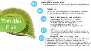 Tinh dầu trà xanh plus 20ml – Green Tea EO nguyên chất thiên nhiên Ấn Độ – Thơm mát, chống lão hóa