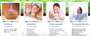 Tinh dầu tràm gió Plus 20ml - Cajeput EO nguyên chất thiên nhiên Việt Nam - Trị mụn, Sạch da