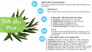 Tinh dầu tràm gió Plus 20ml - Cajeput EO nguyên chất thiên nhiên Việt Nam - Trị mụn, Sạch da