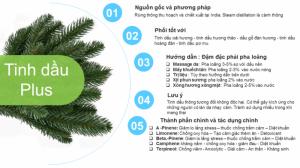 Tinh dầu thông đỏ plus 20ml – Red Pine EO nguyên chất thiên nhiên Ấn Độ – Thiền định, tập trung