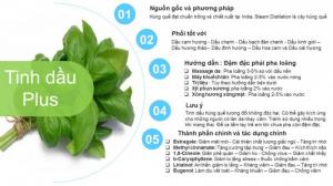 Tinh dầu húng quế Plus 20ml - Basil EO nguyên chất thiên nhiên Ấn Độ - Xông hương, Thơm phòng