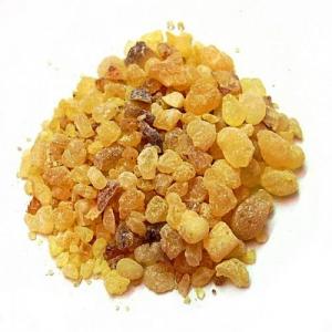 Tinh dầu hương trầm plus 20ml – Frankincense EO nguyên chất thiên nhiên Ấn Độ – Ấm cúng, tập trung