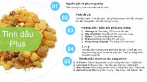 Tinh dầu hương trầm plus 20ml – Frankincense EO nguyên chất thiên nhiên Ấn Độ – Ấm cúng, tập trung