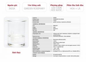 Tinh dầu hương thảo plus 20ml – Rosemary EO nguyên chất thiên nhiên Ấn Độ – Thơm mát, tự nhiên