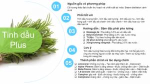 Tinh dầu hương thảo plus 20ml – Rosemary EO nguyên chất thiên nhiên Ấn Độ – Thơm mát, tự nhiên