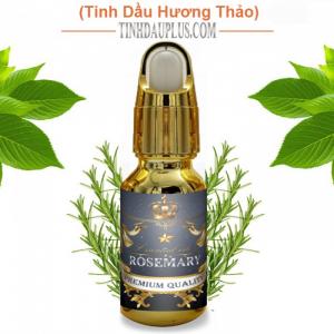 Tinh dầu hương thảo plus 20ml – Rosemary EO nguyên chất thiên nhiên Ấn Độ – Thơm mát, tự nhiên