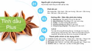 Tinh dầu hoa hồi plus 20ml – Tinh dầu hồi nguyên chất thiên nhiên Ấn Độ – Thiền định, tập trung