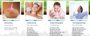 Tinh dầu hoa hồi plus 20ml – Tinh dầu hồi nguyên chất thiên nhiên Ấn Độ – Thiền định, tập trung