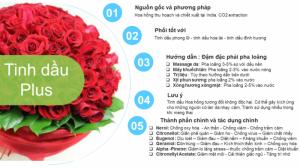 Tinh dầu hoa hồng plus 20ml – Rose EO nguyên chất thiên nhiên Ấn Độ – Lãng mạn, quyến rũ