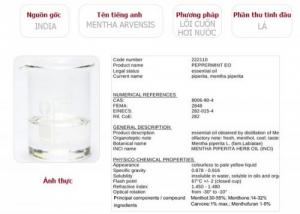 Tinh dầu bạc hà Plus 20ml - Tinh dầu bạc hà nguyên chất thiên nhiên từ Ấn Độ - Sảng khoái, thông mũi