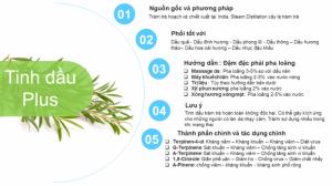 Tinh Dầu Tràm Trà Plus (20ml) - Tinh Dầu Tràm Trà Chất đuổi muỗi trị mụn làm đẹp thư giãn tinh thần nhẹ nhàng