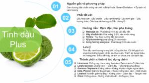 Tinh Dầu Cam Hương Plus (20ml) - Tinh Dầu Cam Hương Nguyên Chất đuổi muỗi trị mụn làm đẹp thư giãn