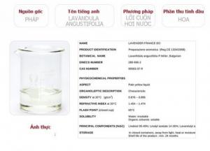 Tinh Dầu Oải Hương Plus (20ml) - Lavender EO đuổi muỗi trị mụn làm đẹp thư giãn tinh thần nhẹ nhàng