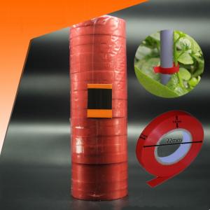 Combo 10 cuộn dây máy buộc cành