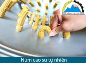 Núm cao su tự nhiên