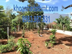 Đất thổ cư,mặt tiền hẻm Đạt Lí,đối diện chợ Đạt Lí,10*27m,giá rẻ,nhiều lô