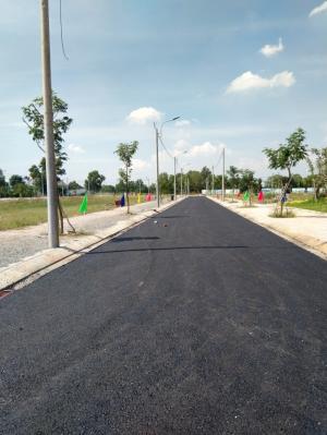 Đón lợi cùng năm Kỉ Hợi với dự án New City 2019
