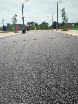 Đón lợi cùng năm Kỉ Hợi với dự án New City 2019
