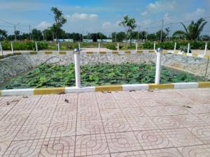 Xuân phát lộc - Săn lô đất đắc độc chỉ 386 triệu/ nền tại Bình Chánh. SHR. XDTD