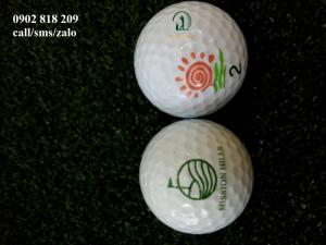 In logo lên bóng golf đẹp, nhanh, rẻ