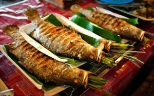 Cho thuê nhà sàn Đảo Dừa - 1 hạ long trên cạn