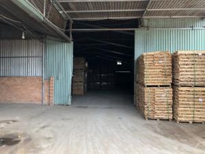 Bán Xưởng Gỗ Phước Hòa Phú Giáo Bình Dương