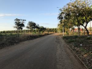 Bán Đất Sản Xuất Tại Vĩnh Hòa Phú Giáo Bình Dương