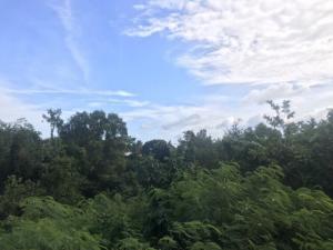 Bán lô đất lớn phù hợp làm dự án phân lô tttp Nha Trang