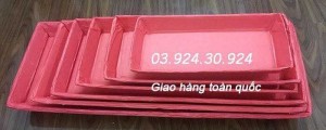 mâm giấy đựng heo quay, khay heo quay, hộp heo quay