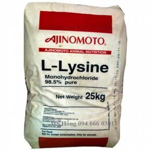 L-LYSINE