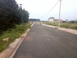 Bán 200 mẫu đất cao su 2 mặt đường tam lập phú giáo bình dương. Hiện đất nằm trên 2 mặt đường